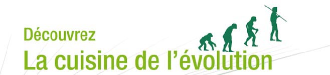Bandeau_actu